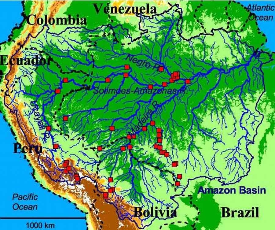 ΑΜΑΖΟΝΙΟΣ Ο Αµαζόνιος υδροδοτεί το απέραντο τροπικό δάσος της Νοτιοαµερικανικής ηπείρου, µεταφέροντας συνολικά το ένα πέµπτο (1/5) του γλυκού νερού που κυκλοφορεί πάνω στη γη.