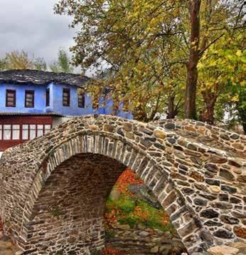 Ζ) Αμφιθεατρικότητα και ποικιλία τοπίων