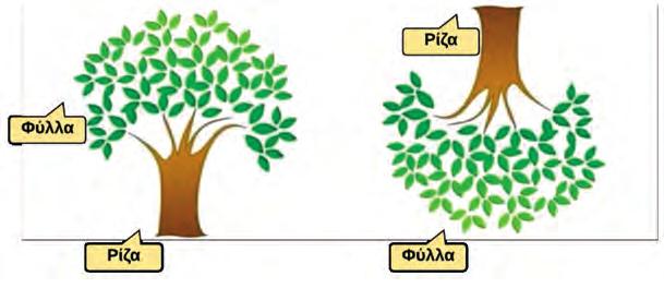 ΔΟΜΕΣ ΔΕΔΟΜΕΝΩΝ ΚΑΙ ΑΛΓΟΡΙΘΜΟΙ Βασικές πράξεις των συνδεδεμένων λιστών Οι βασικές πράξεις των συνδεδεμένων λιστών είναι οι παρακάτω: Εισαγωγή κόμβου στη λίστα (εισαγωγή κόμβου στην αρχή, στο τέλος