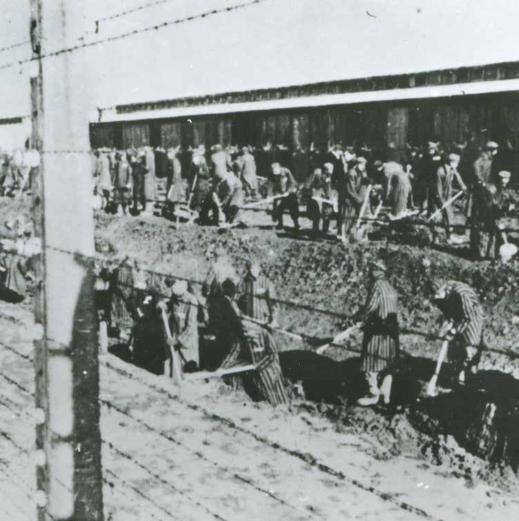 Πρόσωπα Πρόσωπα σία. Γύριζαν στο στρατόπεδο πριν νυχτώσει μεταφέροντας τα πτώματα των νεκρών συγκροτούμενων τους. Ανάμεσα στους 1.300.000 εκτοπισμένους στο Άουσβιτς, υπήρχαν 216.