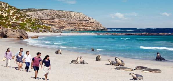 VICTOR HARBOR WITH SEAL ISLAND CRUISE ΜΙΑ ΑΞΕΧΑΣΤΗ ΣΤΟ ΝΗΣΙ SEAL Έναρξη: 09:00 Ανακαλύψτε τον αγαπημένο προορισμό διακοπών της Αδελαΐδας, τη χερσόνησο Fleurieu με τους αμπελώνες και τα οινοποιεία.