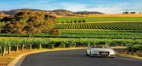 GRAND BAROSSA AND HAHNDORF ΚΟΙΛΑΔΑ BAROSSA & ΠΟΛΗ HAHNDORF Έναρξη: 09:00 Επισκεπτόμαστε την όμορφη κοιλάδα Barossa με την ιστορία και τη γερμανική κληρονομιά.