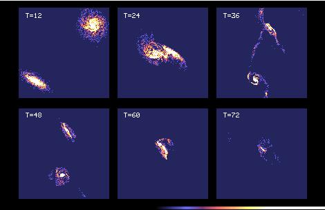 Chapter 2: Observing at infrared wavelengths 52 bona fide optical quasar. The detailed evolution of ULIRGs is a subject of intense current study. Figure 2.11: Computer model of colliding galaxies.