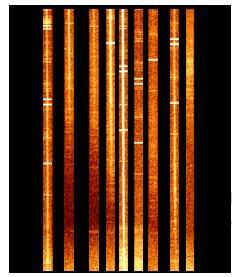 At this step, we will use COSMICRAYS task but in the following we will combine the images of an object so the cosmic rays affect will be limited. Figure 4.8: Figure 4.6 after been mosaiced.