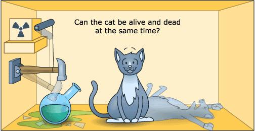 Ο Schrodinger και η γάτα του! 28 Οι πιθανές καταστάσεις της γάτας είναι να είναι ζωντανή ή να έχει πεθάνει εξαιτίας του δηλητηρίου.
