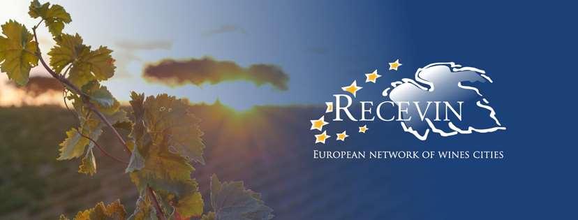 Στόχοι του Δικτύου RECEVIN η εκπροσώπηση των συμφερόντων των μελών του στα ευρωπαϊκά θεσμικά όργανα η προώθηση