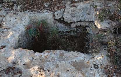 Το ιστορικό της διάκρισης Φθινόπωρο 2017: πρόσκληση ενδιαφέροντος από την Αναπτυξιακή