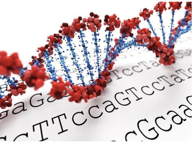 Φάση A Μήνας 1 - Μήνας 6 a step-wise process Προτυποποίηση διαδικασίας targeted NGS - Κοινά πρωτόκολλα