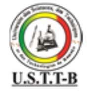 Ministère de l'enseignement Supérieur et de la Recherche Scientifique République du Mali Un Peuple-Un But-Une Foi Université des Sciences, des Techniques et des Technologies de Bamako Année