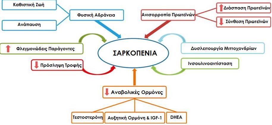 Μηχανισμός