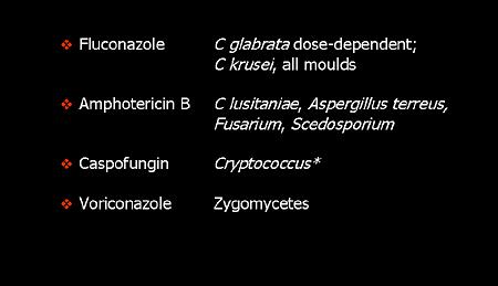 ΚΕΝΑ ΣΤΗΝ