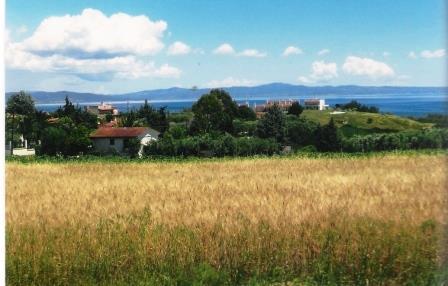 Η Ν.Ποτίδαια το Καλοκαίρι