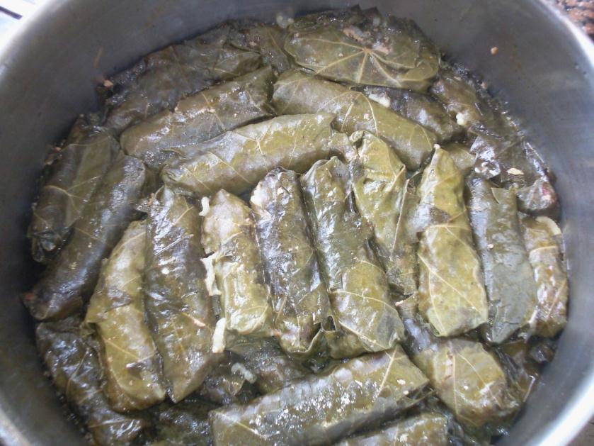 35 ζμ ημ ηνέαξ ρδκυηακ ζηα ηάναμοκα ημ νάκηζγακ ιε ηναζί ηαζ εοιάνζ.