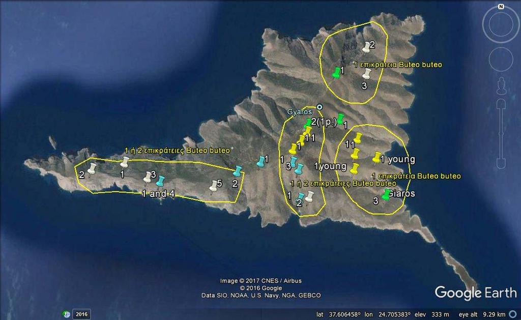 λίγες πιθανότητες) το φώλιασμα των σταχτάρων σε ένα απομακρυσμένο σημείο της ακραίας ΝΔ χερσονήσου του νησιού. 4.