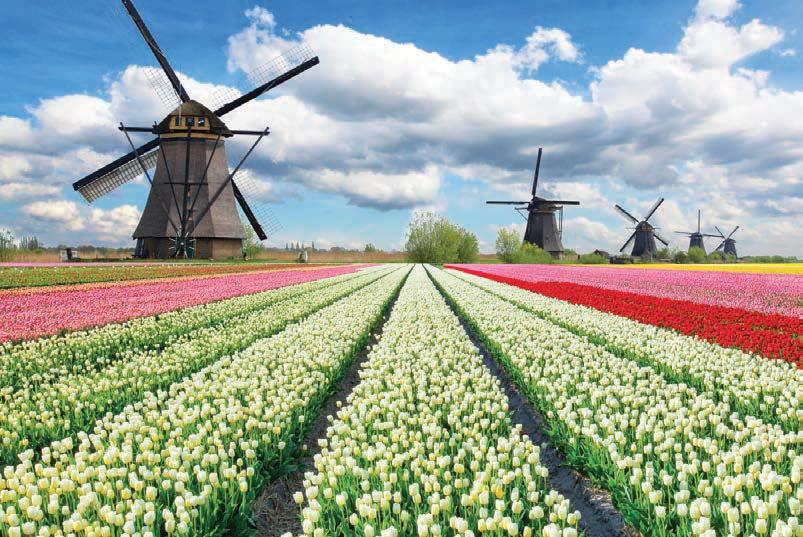 Ομαδικά Οργανωμένα Ταξίδια Zaanse Schans Βόλενταμ ΡΟΤΤΕΡΝΤΑΜ ΟΛΛΑΝΔΙΑ ΒΕΛΓΙΟ ΛΟΥΞΕΜΒΟΥΡΓΟ Επίσκεψη στο Πάρκο Λουλουδιών