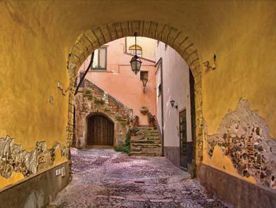 AMBASCIATORI NH