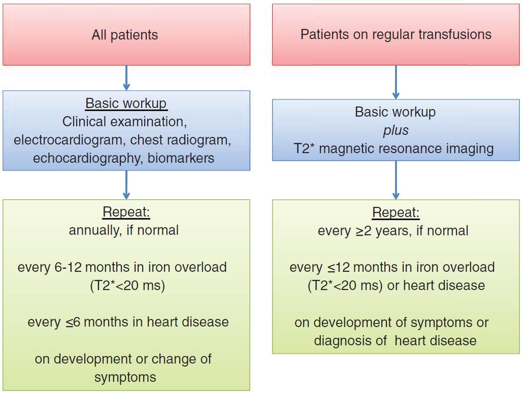 Basic algorithm for the cardiac evaluation of patients with haemoglobinopathies. Farmakis D et al.