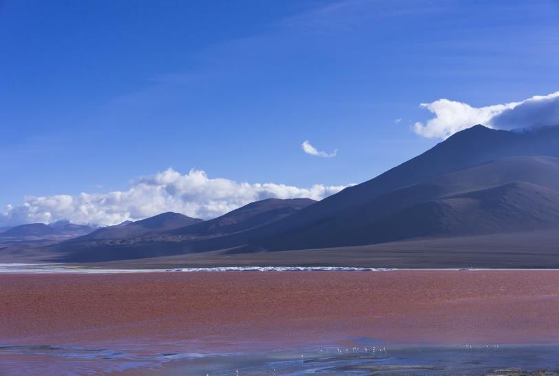 εγκαίρως στο περίφημο οροπέδιο θερμοπιδάκων Ελ Τάτιο, μια γυμνή κοιλάδα με αναρίθμητα γκέιζερ κοντά στα σύνορα με τη Βολιβία.