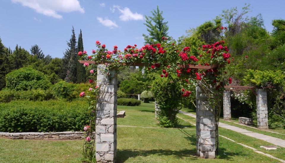 επιςτημονικό προςωπικό και απολαμβϊνουν την επαφό με ϋνα μοναδικό φυςικό τοπύο. Καθ όλη τη διϊρκεια τησ ςχολικόσ χρονιϊσ περίπου 30.