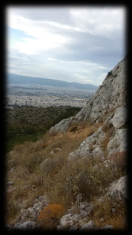 2. Πεζοπορία ςτο Βουνό Περπϊτημα ςε μονοπϊτια και