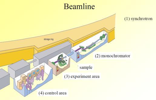 Οι σύγχρονες εγκαταστάσεις synchrotron έχουν επίσης πρόσθετα στοιχεία, τα αποκαλούμενα συστήματα εισαγωγής, τοποθετημένα στα ευθύγραμμα τμήματα μεταξύ των μαγνητών κάμψης (Bunker G. 2010).