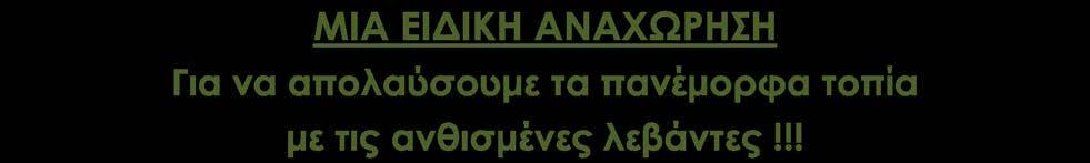 Αρλ και την Αβινιόν