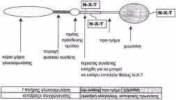 ΠΡΟΤΕΡΑΙΟΤΗΤΕΣ (30):201620450162 U-17/05/2016-CN 201620131314 U-20/02/2016-CN 201620974741 U-26/08/2016-CN 201620131221 U-20/02/2016-CN (72):1)Lin, Hui ΕΙ ΙΚΟΣ ΠΛΗΡΕΞΟΥΣΙΟΣ (74):ΑΘΑΝΑΣΙΑ ΟΥ "ΕΛΕΝΗ Γ.