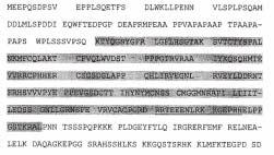 ΑΡΙΘΜΟΣ ΕΥΡ..Ε. (11):3098648 ΑΡΙΘ. ΕΛΛ. ΚΑΤΑΘΕΣΗΣ (21):20190400187 ΗΜΕΡ. ΕΛΛ. ΚΑΤΑΘΕΣΗΣ (22):17/01/2019 ΕΥΡΩΠΑΪΚΟΥ ΙΠΛΩΜΑΤΟΣ(87):3201234-07/11/2018 ΕΥΡΩΠΑΪΚΗΣ ΑΙΤΗΣΗΣ (86):15767529.