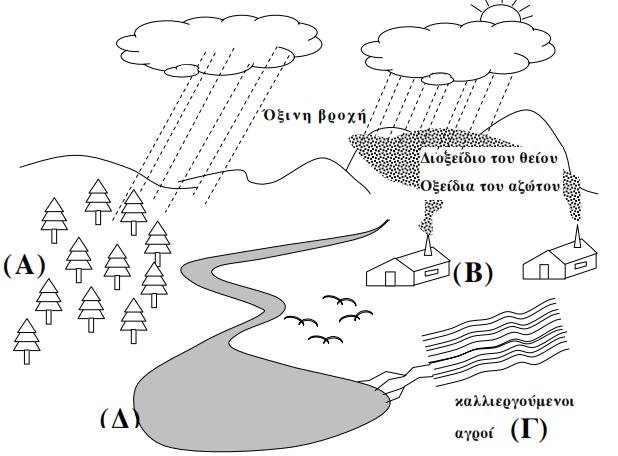 ΘΕΜΑ 4 ο 2007 Στο παρακάτω σχήμα απεικονίζεται μια περιοχή στην οποία συνυπάρχουν δάσος κωνοφόρων (Α), βιομηχανικές μονάδες (Β), καλλιεργούμενοι αγροί (Γ) και μια λίμνη ( ).