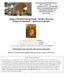 Sunday of the Myrrh-bearing Women Mother s Day Issue
