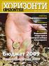 Бюджет 2009. Здравето е скъпо. Излишъкът като панацея. Водолазната индустрия в България набира популярност. Политика. Икономика.