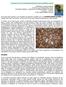 Στοιχεία για την κυπριακή μέλισσα Apis mellifera cypria