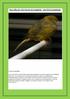 Κοκκιδίωση στα πτηνά συντροφιάς - pet bird coccidiosis Τι είναι τα κοκκίδια