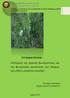 «Eκτίμηση της αρχικής βιωσιμότητας και της φυτρωτικής ικανότητας των σπόρων του είδους Juniperus excelsa»