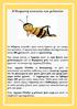 Η θαυμαστή κοινωνία των μελισσών
