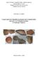 Γεωµετρική και Αρχαϊκή κεραµική από επιφανειακές έρευνες στο Καραµπουρνάκι. Η Συλλογή Τσάκου.