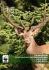 ΣΧΕ ΙΟ ΡΑΣΗΣ για την προστασία του Κόκκινου Ελαφιού Cervus elaphus στην Ελλάδα. WWF Ελλάς Παγκόσμιο Ταμείο για τη Φύση