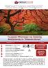 Το μαγικό Φθινόπωρο της Ιαπωνίας Αναζητώντας το Κόκκινο Δέντρο