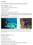 Chromis chromis (Linnaeus, 1758)