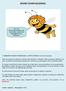 Κυψέλη - το σπίτι της μέλισσας