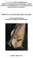 Έκθεση για την πανίδα χειροπτέρων της Σκύρου. Παναγιώτης Γεωργιακάκης Βιολόγος, Δρ. περιβαλλοντικής Βιολογίας