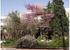 «Ο κήπος του ΚΠΕ το πράσινο στην πόλη»: μεθοδολογική και εννοιολογική ανάλυση του εκπαιδευτικού προγράμματος του ΚΠΕ Αργυρούπολης