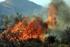 Δυναμικό Σύστημα εκτίμησης κίνδυνου δασικής πυρκαγιάς (Dynamic Assessment of the Forest Fires Risk Tool DFF Risk Tool)