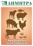ΔΗΜΗΤΡΑ. Τριμηναία έκδοση του Ελληνικού Γεωργικού Οργανισμού - ΔΗΜΗΤΡΑ Τεύχος 8 Οκτώβριος - Νοέμβριος - Δεκέμβριος 2014. Αφιέρωµα στη ζωική παραγωγή