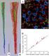 dopamine receptor agonist (fenodopam) (outer medulla) [1] 1 Hunter et al [3] fenodopam 29 ( 2.3 mg/ dl) fenodopam 1. Fenodopam