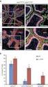 Investigation on Fast Determination of Trace N2Nitrosamines Assisted by Microwave Radiation