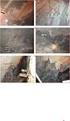 COMPREHENSIVE STUDY ON PREDICTION OF ROCKBURST IN DEEP AND OVER-LENGTH HIGHWAY TUNNEL