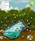 Complex dynamics in ecological populations and communities