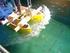 Elimination Units for Marine Oil Pollution (EU-MOP): Αυτόνοµα Μικρά Σκάφη για την Αντιµετώπιση Πετρελαιοκηλίδων 1