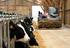 στο σχέδιο νόµου «Ρυθµίσεις για την κτηνοτροφία και τις κτηνοτροφικές εγκαταστάσεις»